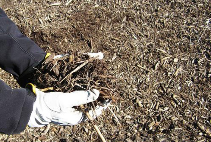 gloved hands holding mulch