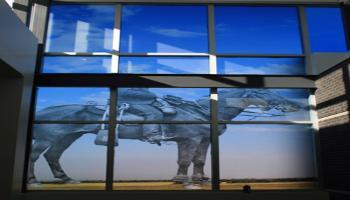Glass windows with an RCMP officer on horseback etched in the glass.