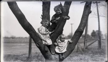 Red Deer Archives, G2244; Three children climbing a tree, 1912