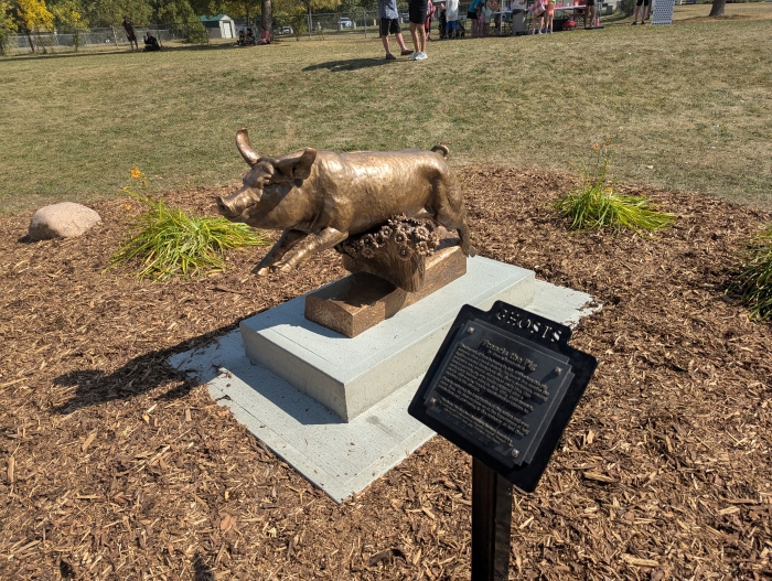 Colour photo of a bronze statue of Francis the Pig jumping over flowers.