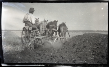 Black and white photo of a farmer breaking land with a horse drawn plow near Penhold