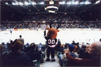 Coloured photo of the Red Deer Rebels deer mascot in the stands during a hockey game at the Centrium arena