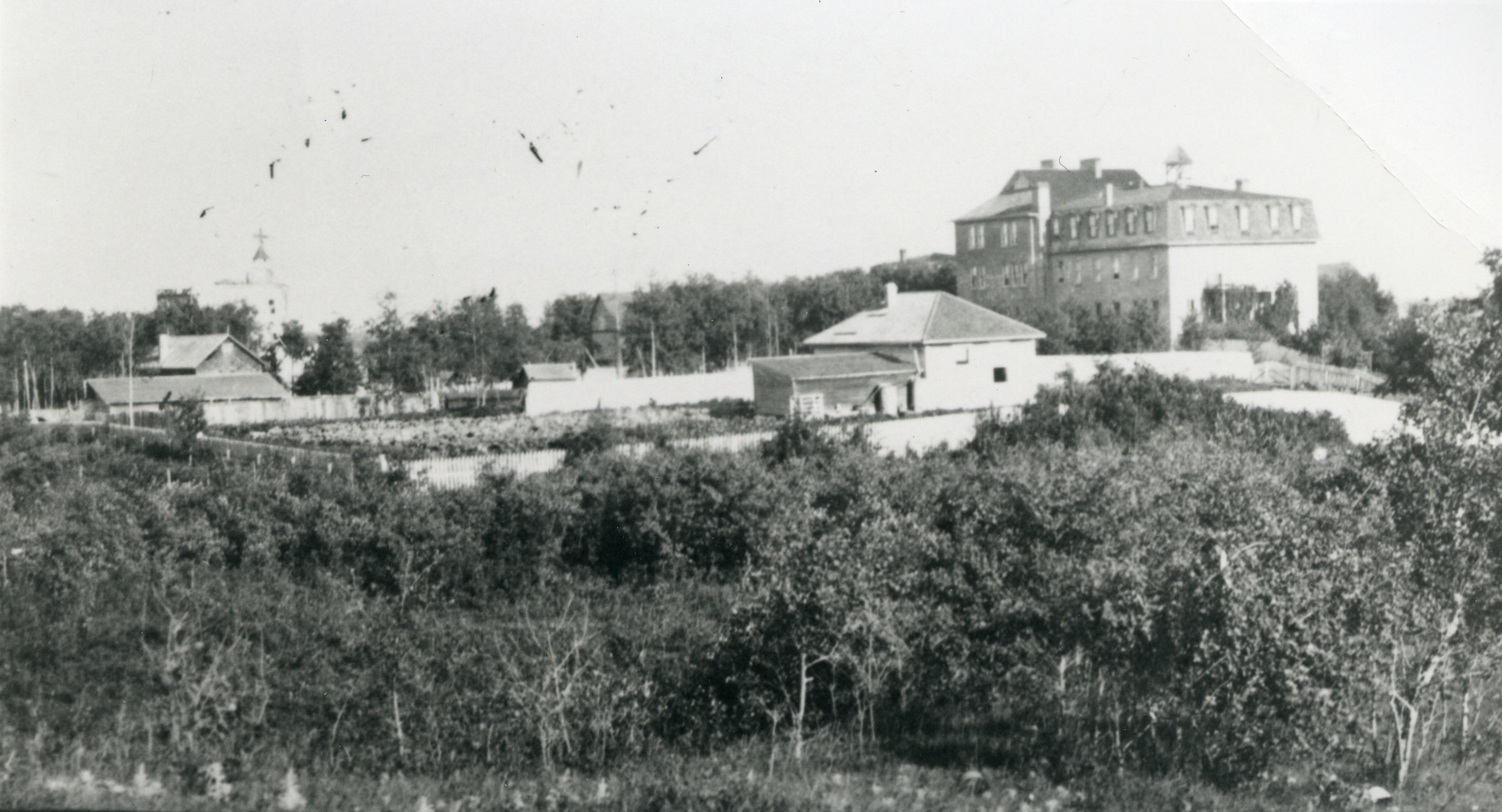 Black and white photo of Convent Hill, visible is the Roman Catholic Mission and quarantine hospital, St. Joseph's convent, and barns