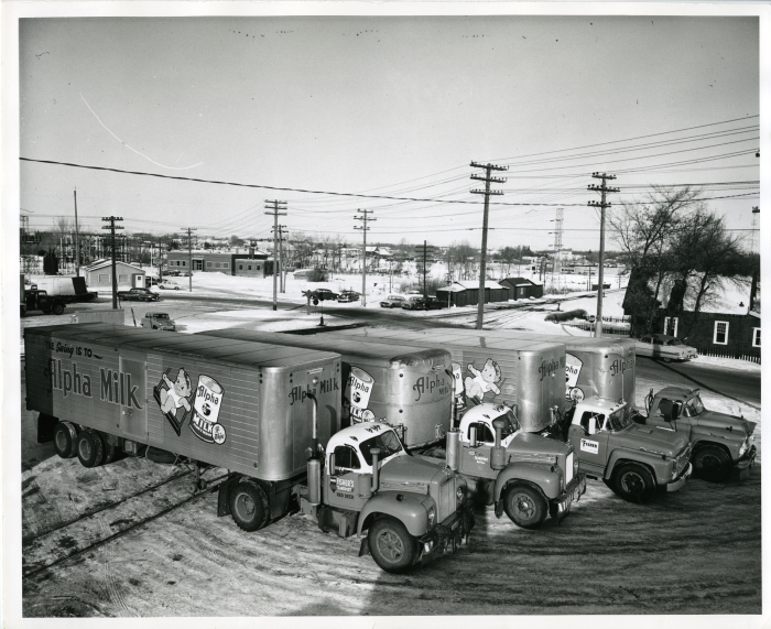 Black and white photo of Alpha Milk trucks in Red Deer