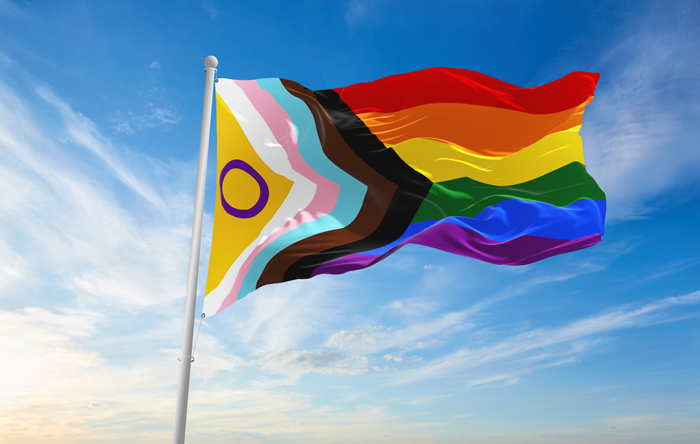 Pride Progress flag