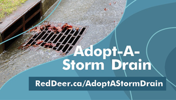 Adopt a Storm Drain