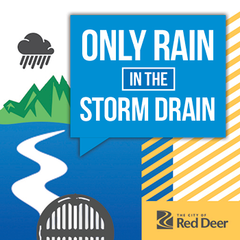 Only rain in the storm drain campaign graphic