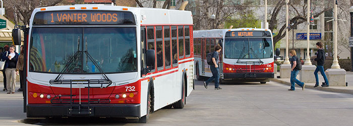 Photo of a City of Red Deer Transit bus
