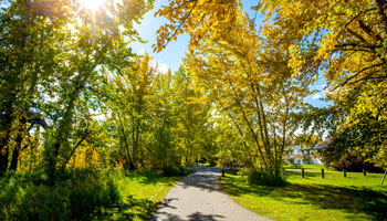 Walking Trail in the early fall