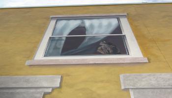 Paited mural on the side of a buidling of an apartment window with white curtains and a cat sittin on the window ledge.