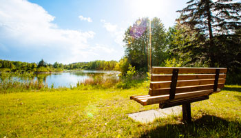 photo of a bench overlooking McKenzie Trails