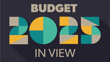 Budget in View 2025